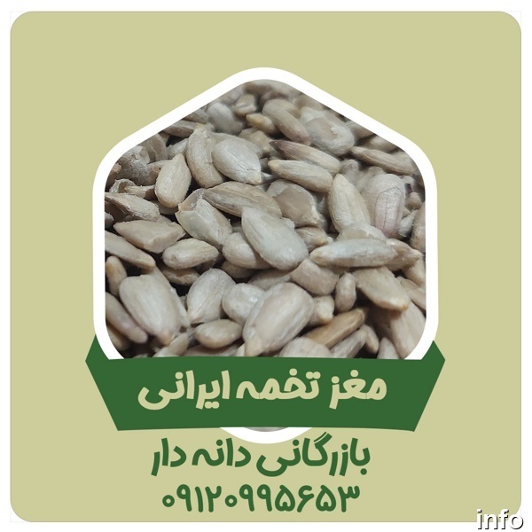 پخش عمده تخمه آفتابگردان_4